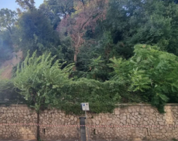 Frana parte della collina, chiuso un tratto di strada