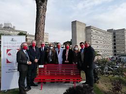 Napoli, centro antiviolenza al Policlinico Federico II