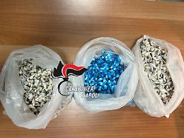 Sequestrate oltre duemila dosi droga, due arresti