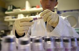 "Può uccidere in 90 giorni", allarme Candida auris