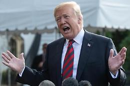 Trumpiano da sempre, a buona ragione