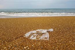 Giornata degli Oceani, minacciati da inquinamento e cambiamento climatico