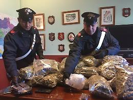Hashish in casa, nei guai un 27enne