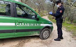 Pesca di frodo nel Fusaro, sette denunciati