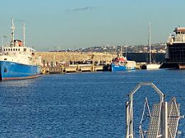 Migranti, nave Rise Above nel porto di Reggio Calabria