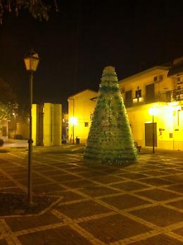 Macerata Campania. Primo albero ecologico in piazza Alcide De Gasperi