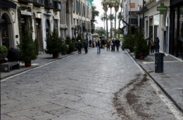 Venti alberi di Natale rubati in via Calabritto