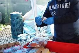 Ercolano, sequestrati <br>3 quintali di alimenti
