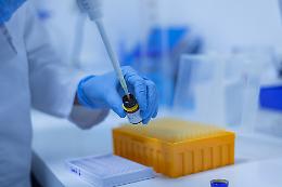 «Rubato il brevetto dell'azienda di biotecnologie»