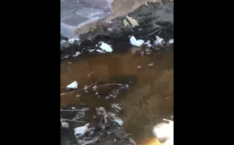 Sversavano liquami a mare a Ischia, denunciati
