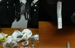 Vico Equense, "Attila" scova la droga in un giardino