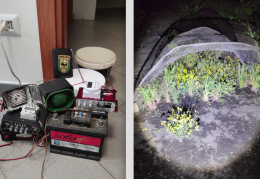 Operazione antibracconaggio nel Parco nazionale del Vesuvio