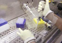 Allarme polio a New York, dichiarato lo stato d'emergenza