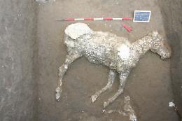 Scavi di Pompei: a caccia dei tombaroli si scoprono i resti di un cavallo e nuovi reperti VIDEO