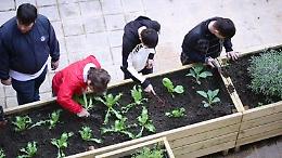 GreenCare 2017, il premio per chi si prende cura del verde di Napoli
