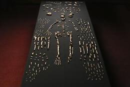 Scoperti i resti dell'“Homo Naledi”,<br>specie umana finora sconosciuta