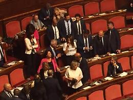 Borgonzoni con maglia “parliamo di Bibbiano", bagarre al Senato