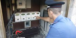 “Furbetti del contatore" in pescheria, tre denunciati