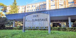 Al Pascale primo paziente del Sud trattato con Car-T