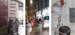Furti di alberi di Natale a Napoli, è boom sui social