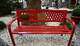 Vandalizzata la panchina rossa per Tiziana Cantone, la mamma: continuo a lottare