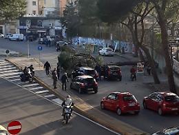 Cade pino secolare, paura a Soccavo