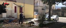 Nasconde droga tra casa ed auto, arrestato