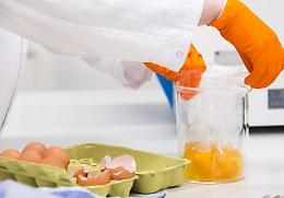Uova contaminate, il ministero: controlli fatti, un solo caso