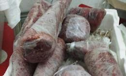 Prodotti ittici congelati a rischio, sequestro a Casoria