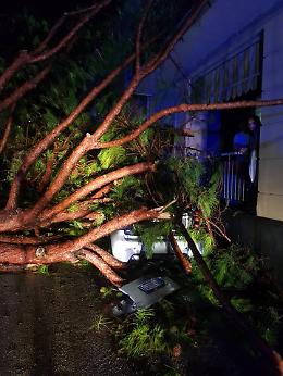 Maltempo, allagamenti e alberi caduti. Crolla la palazzina sgomberata a Torre Annunziata. Disastro evitato. Disagi per i trasporti, collegamenti a singhiozzo con le isole