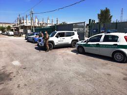 Roghi, controlli tra Napoli e Caserta: sequestri e multe per 120mila euro