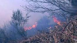 Brucia rifiuti, va in fiamme oltre un ettaro di macchia: denunciato