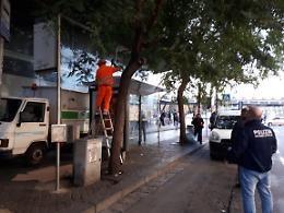 Corso Novara, rimosse fioriere-pattumiere