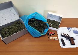 Nasconde un chilo di marijuana e una pistola: arrestato imprenditore di Licola