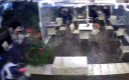 Furti di alberi di Natale, Borrelli: segnalazioni da diversi quartieri