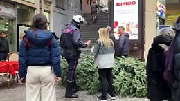Doppio raid all'Augusteo per rubare l'albero di Natale