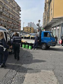 Mimose "abusive", scattano i sequestri