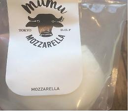 Made in Italy, il Consorzio scopre in Giappone falsa mozzarella “Tokyo dop"