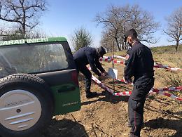 Disboscamento in area protetta e vincolata, tre denunce