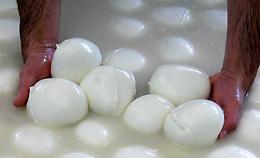 Fuggono su furgone delle mozzarelle, arrestati dopo inseguimento
