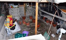 Laboratorio per canapa indiana scoperto a Torre Annunziata