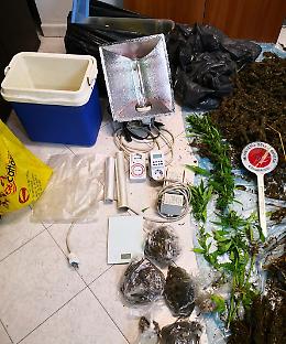 Marijuana "fai da te", nei guai un 48enne a Volla
