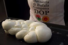 False mozzarelle Dop scoperte in Germania dal Consorzio