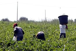Sparava verso braccianti per farli lavorare di più, arrestato