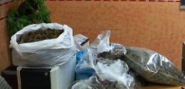 Carico di marijuana dentro una botola in un casolare a Giugliano: arrestato 35enne