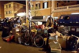 Nella Capitale è emergenza topi, commercianti <br>su tutte le furie