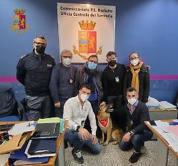 Chiede  riscatto per il cane rubato, arrestato