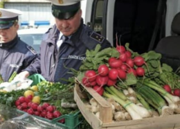 Controlli dei vigili al quartiere Stella, distrutti 700 chili di alimenti