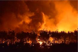Oltre 40 morti per le esplosioni a Tianjin, in Cina