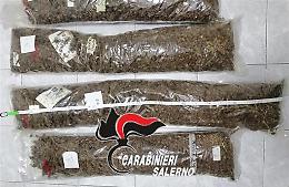 Coniugi in manette, in casa quasi 8 chili di marijuana